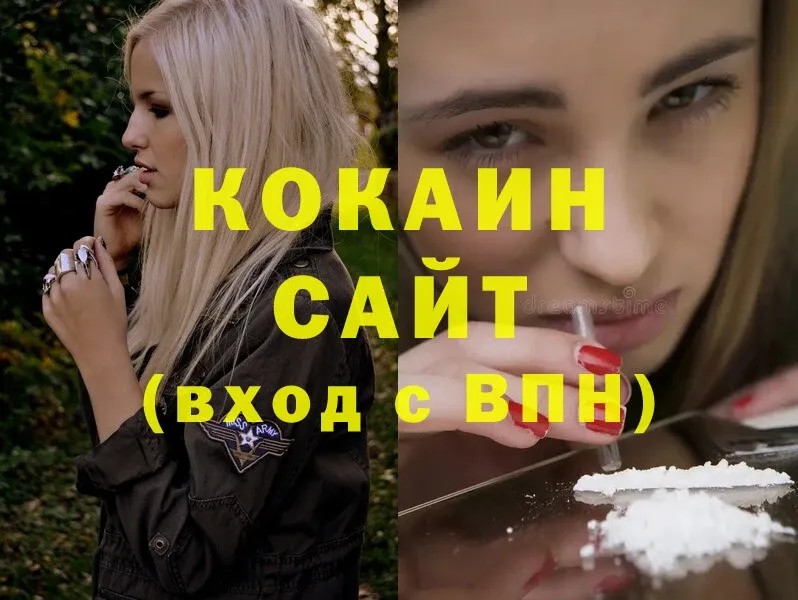 COCAIN FishScale  купить  цена  Вытегра 